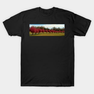 Pear Trees In A Row T-Shirt